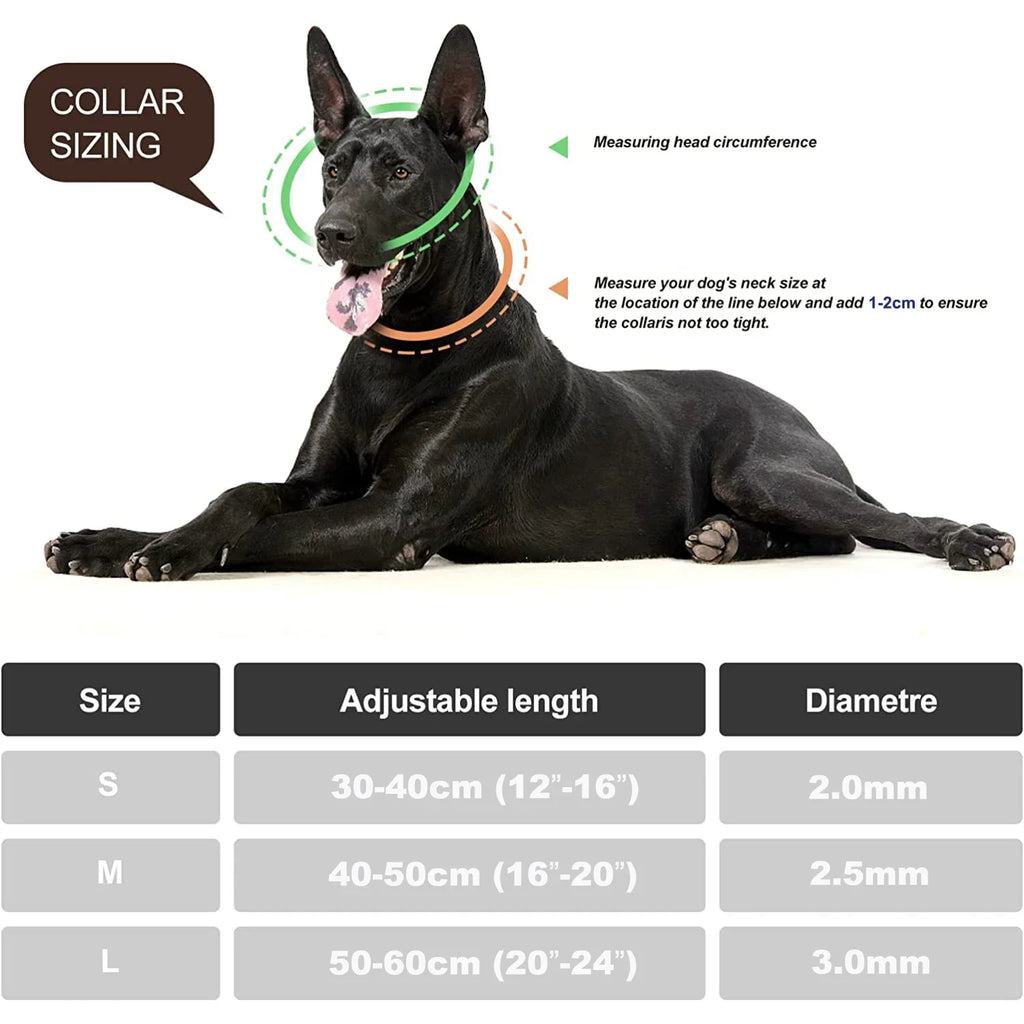 Adjustable Stainless Steel Martingale Pinch Collar for Dogs – Quick Release, Double Link Choke Chain (S/M/L)