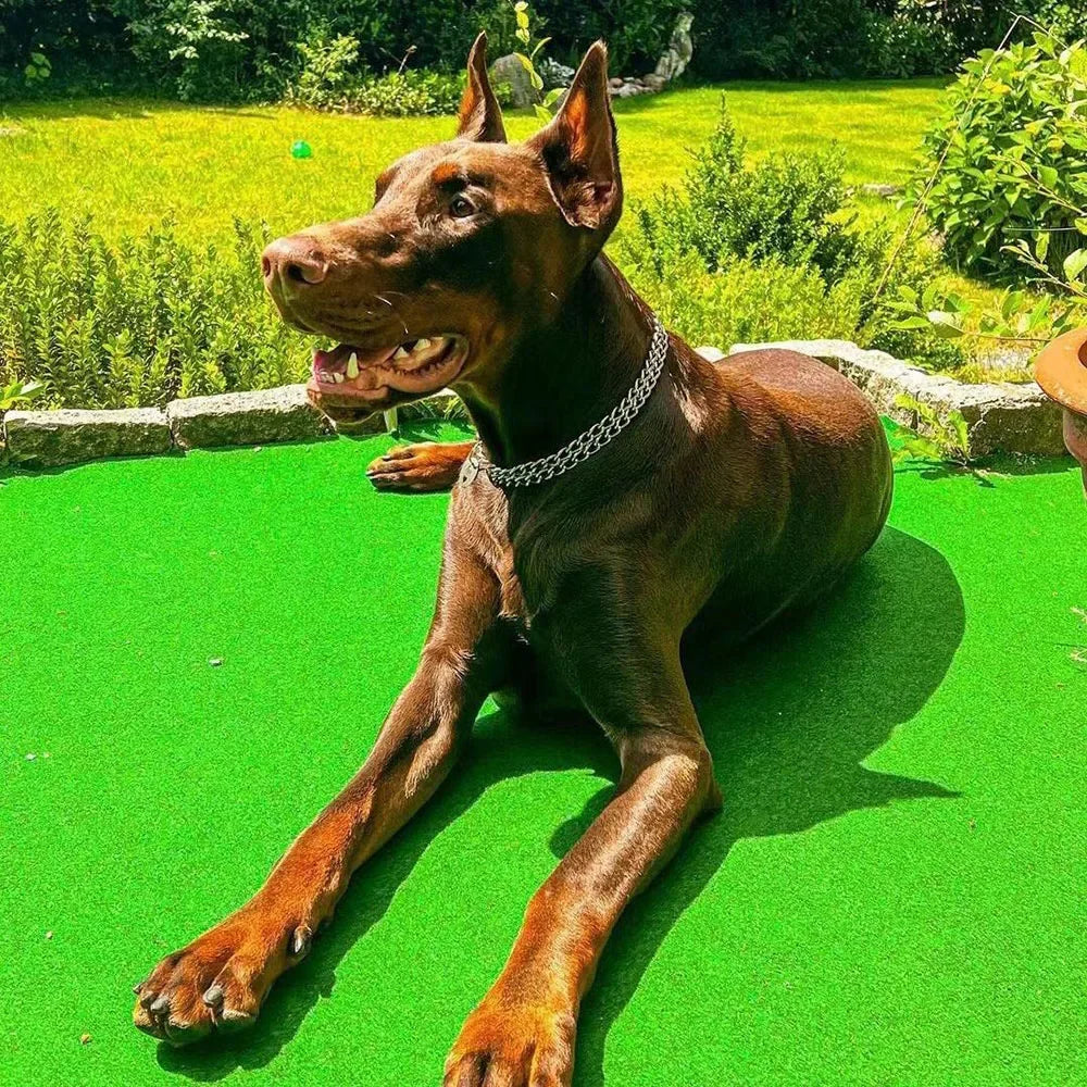 Adjustable Stainless Steel Martingale Pinch Collar for Dogs – Quick Release, Double Link Choke Chain (S/M/L)