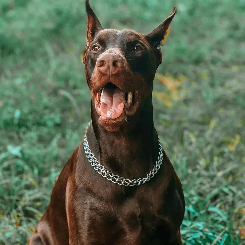 Adjustable Stainless Steel Martingale Pinch Collar for Dogs – Quick Release, Double Link Choke Chain (S/M/L)