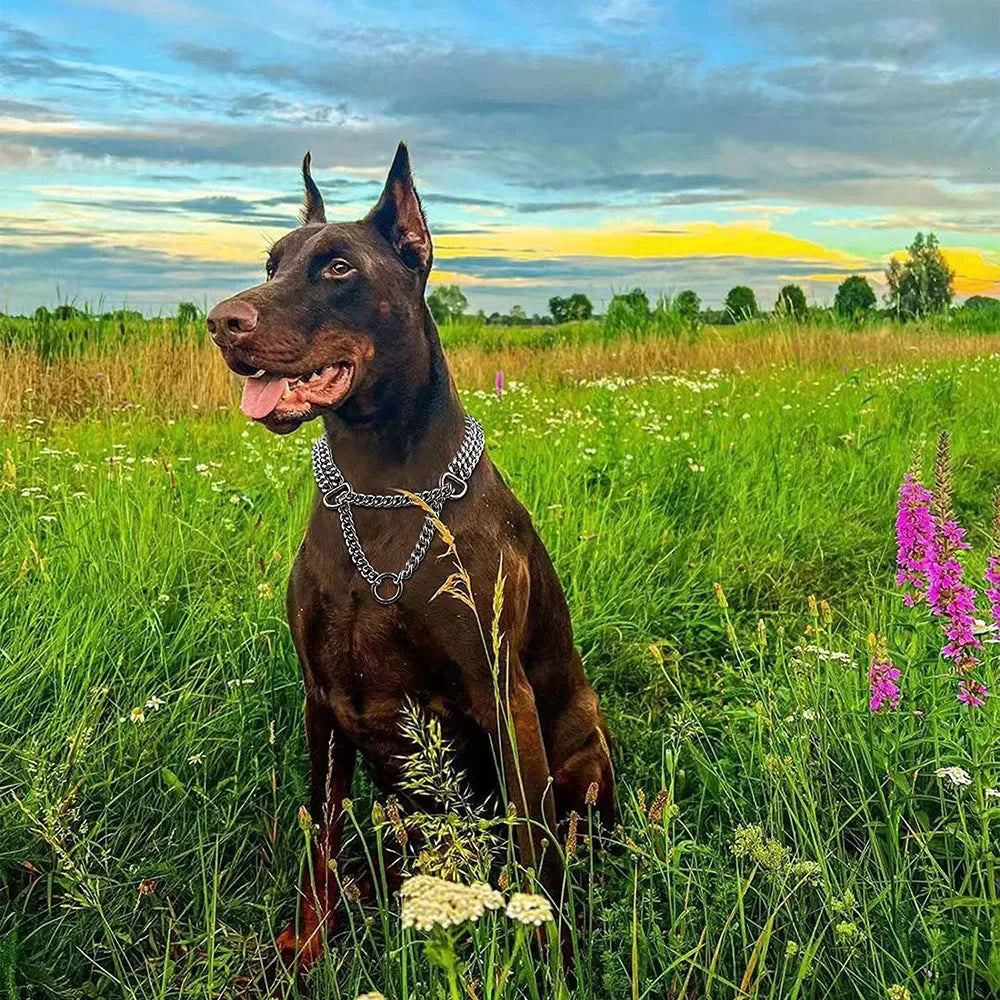 Adjustable Stainless Steel Martingale Pinch Collar for Dogs – Quick Release, Double Link Choke Chain (S/M/L)